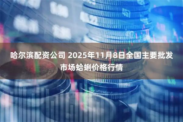 哈尔滨配资公司 2025年11月8日全国主要批发市场蛤蜊价格行情