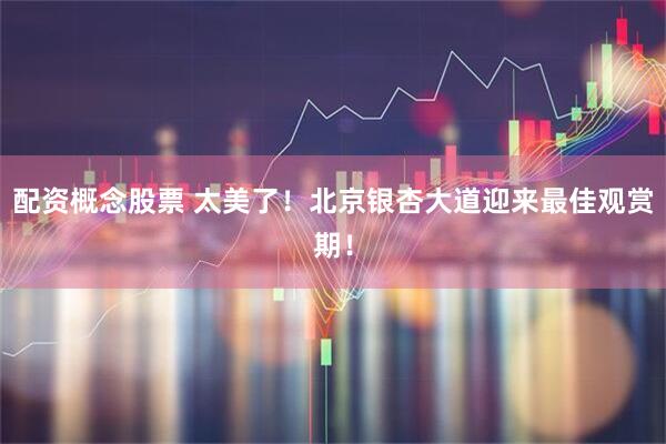 配资概念股票 太美了！北京银杏大道迎来最佳观赏期！
